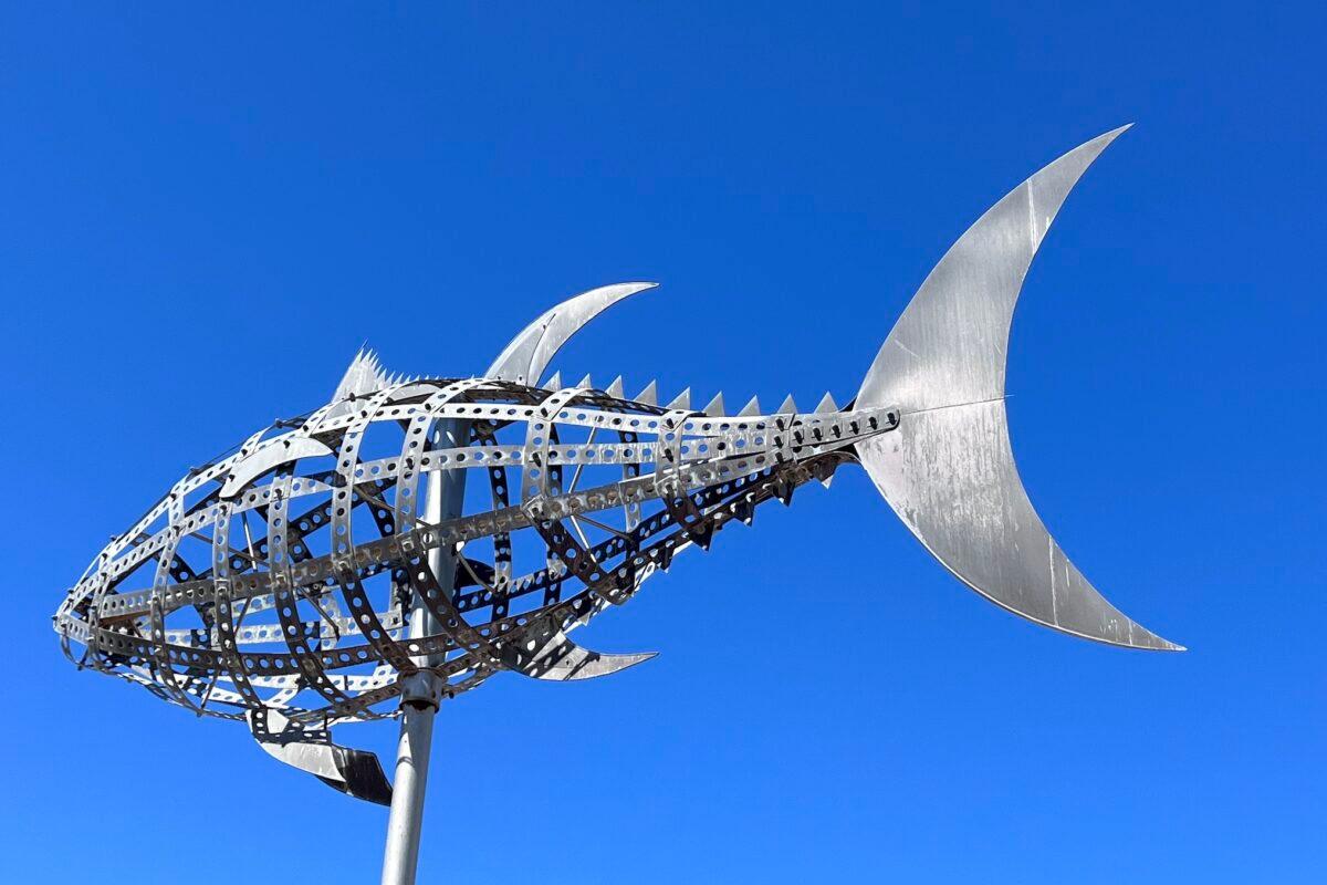 Almadraba, czyli połowy tuńczyka i magia tradycyjnej hiszpańskiej kuchni